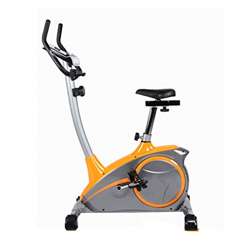 JAHH Bike Indoor Cycling Bike Adjustable Bike Home Gym Workout Fitness Machine With Monitor Maximum Load 100kg (Color : white-Dinosaur Doodle4)